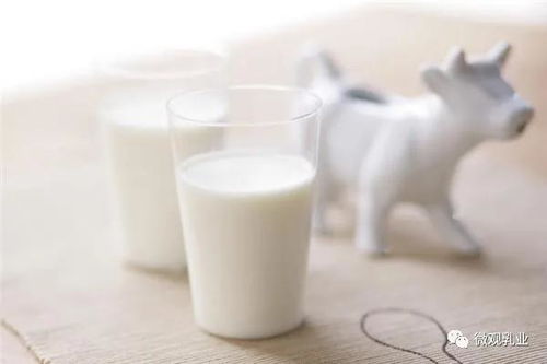 中国奶业乳品出口贸易月报 挑战与机遇并存